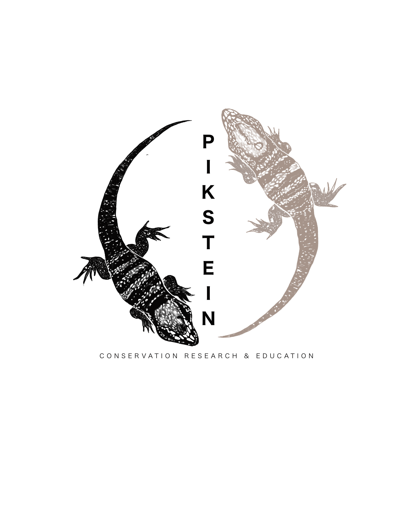 Pikstein Lab Logo